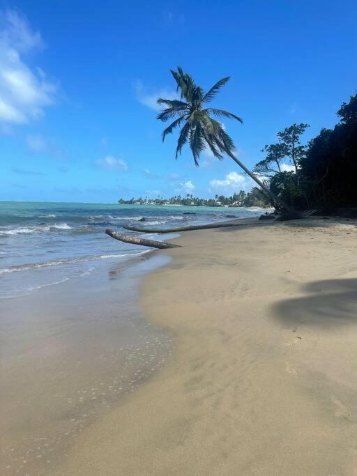3Bedrm Beach Penthouse With Rooftop Terrace & Wifi Rio Grande Esterno foto